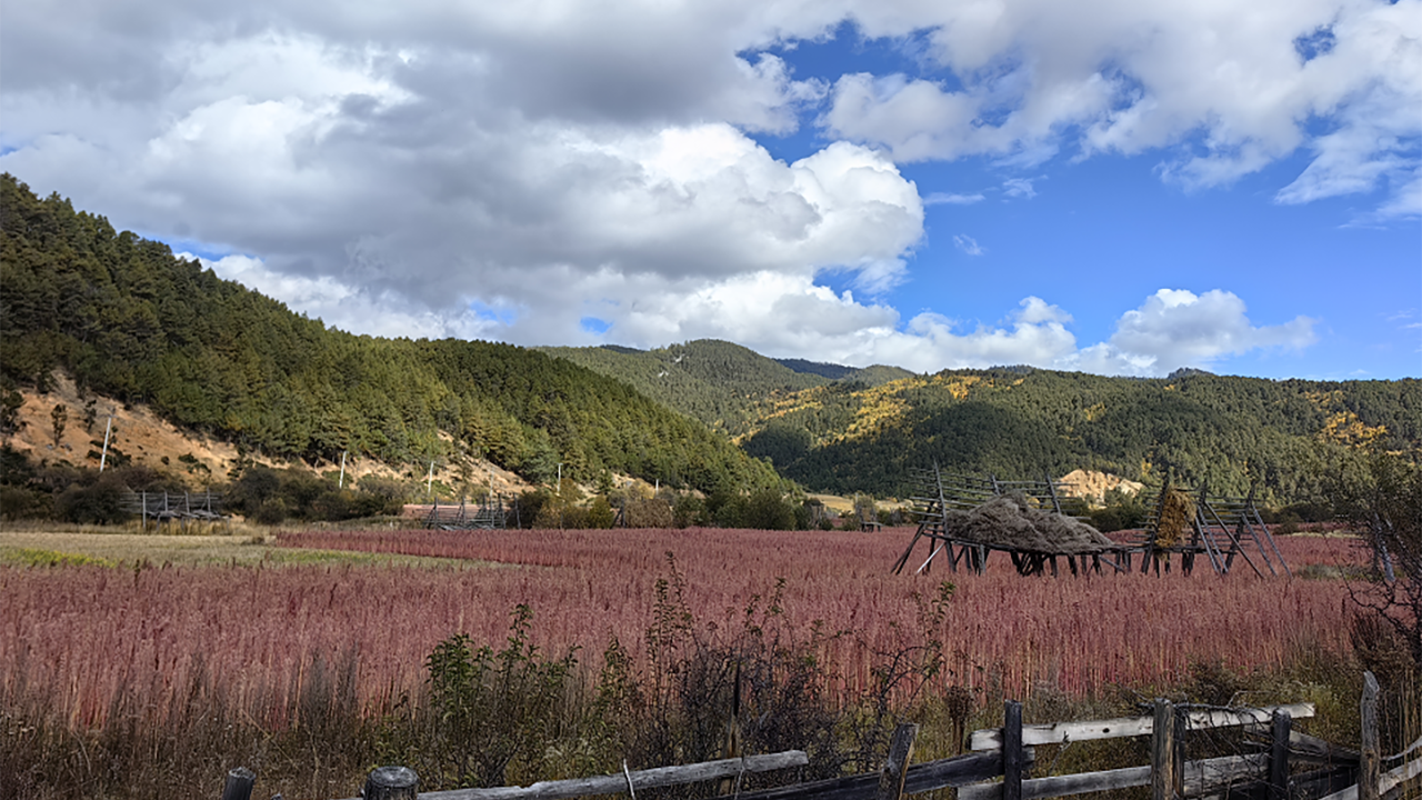 6640